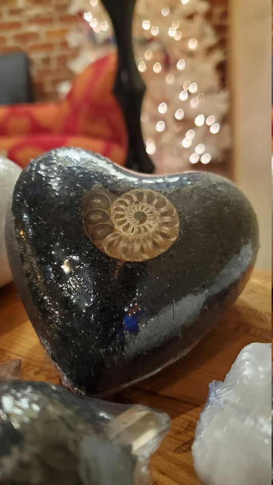 Ammonite Tarot Card Black Bath Bombs With Prizes Fossil Treasure